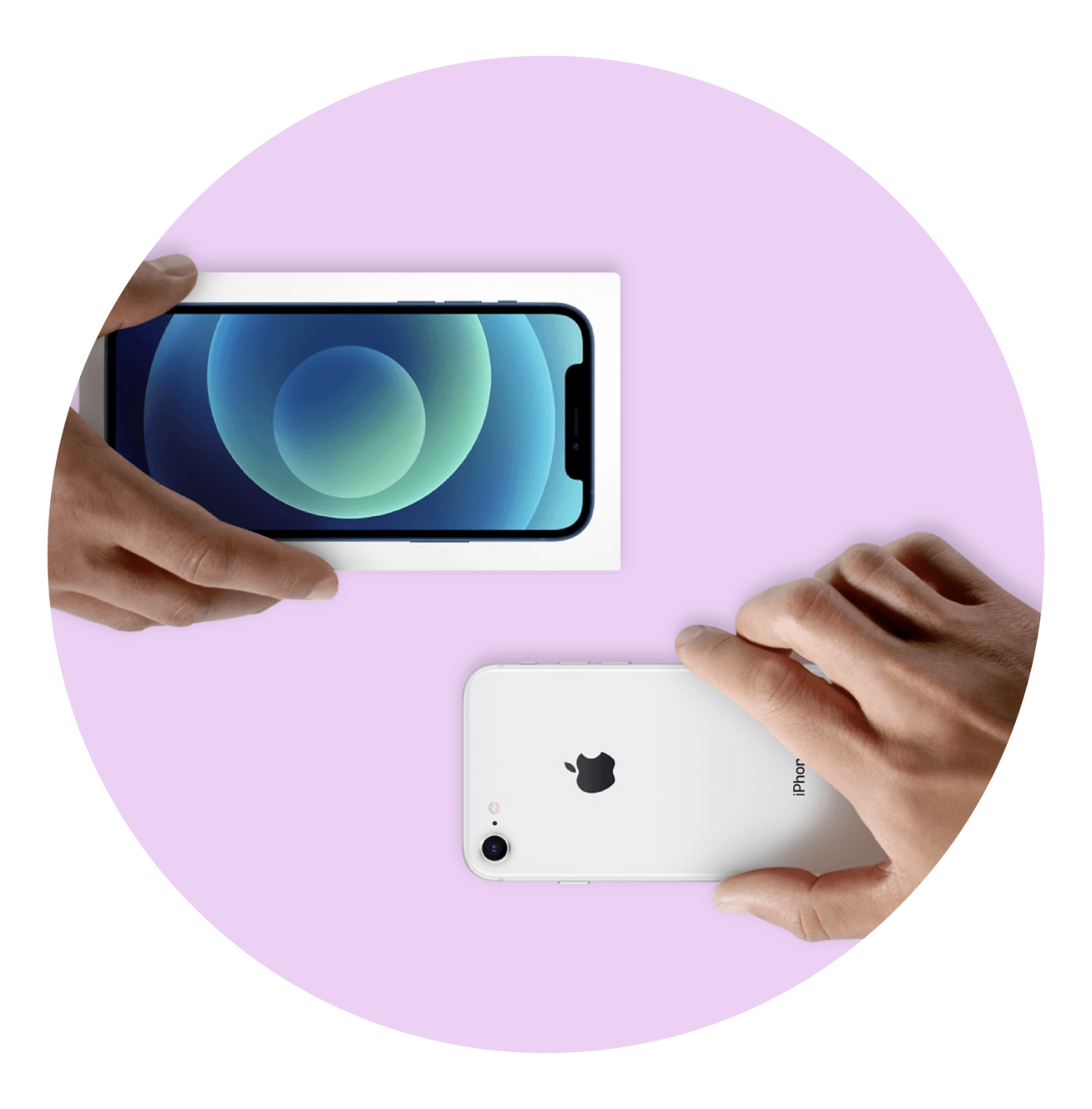 Crear un ecosistema circular y sostenible de productos.